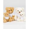 Ours en peluche avec t-shirt