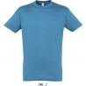 Tee Shirt homme REGENT