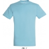 Tee Shirt homme REGENT