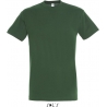 Tee Shirt homme REGENT