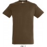 Tee Shirt homme REGENT