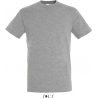 Tee Shirt homme REGENT