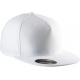 CASQUETTE FLEXFIT - 5 P