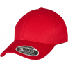 110 Curved Visor Snapback