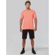 TEESHIRT TRIBLEND SPORT