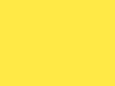 602-Daisy Yellow