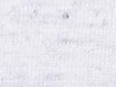 069-White Fleck Triblend
